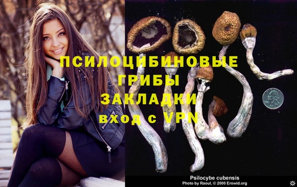 гашик Абдулино