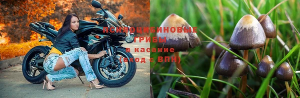 apvp Алексеевка