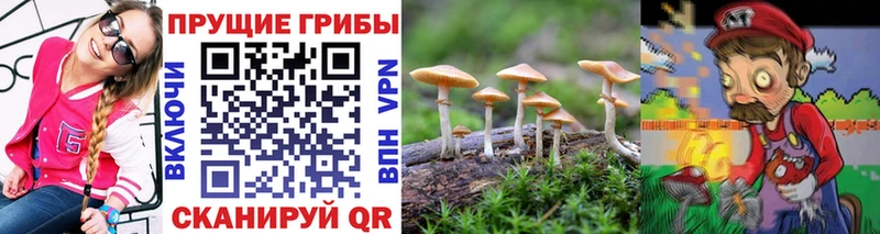 Псилоцибиновые грибы GOLDEN TEACHER  Усть-Илимск 